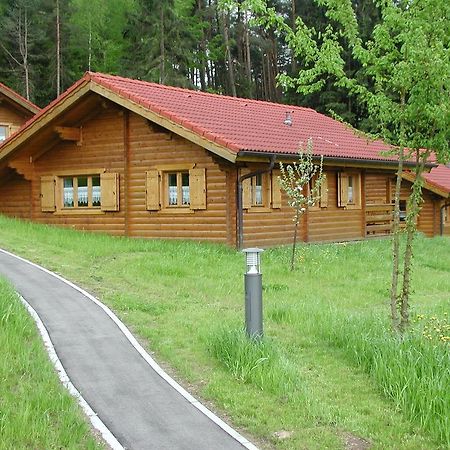 Blockhaus Bayerischer Wald Stamsried エクステリア 写真