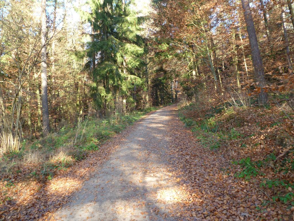 Blockhaus Bayerischer Wald Stamsried エクステリア 写真