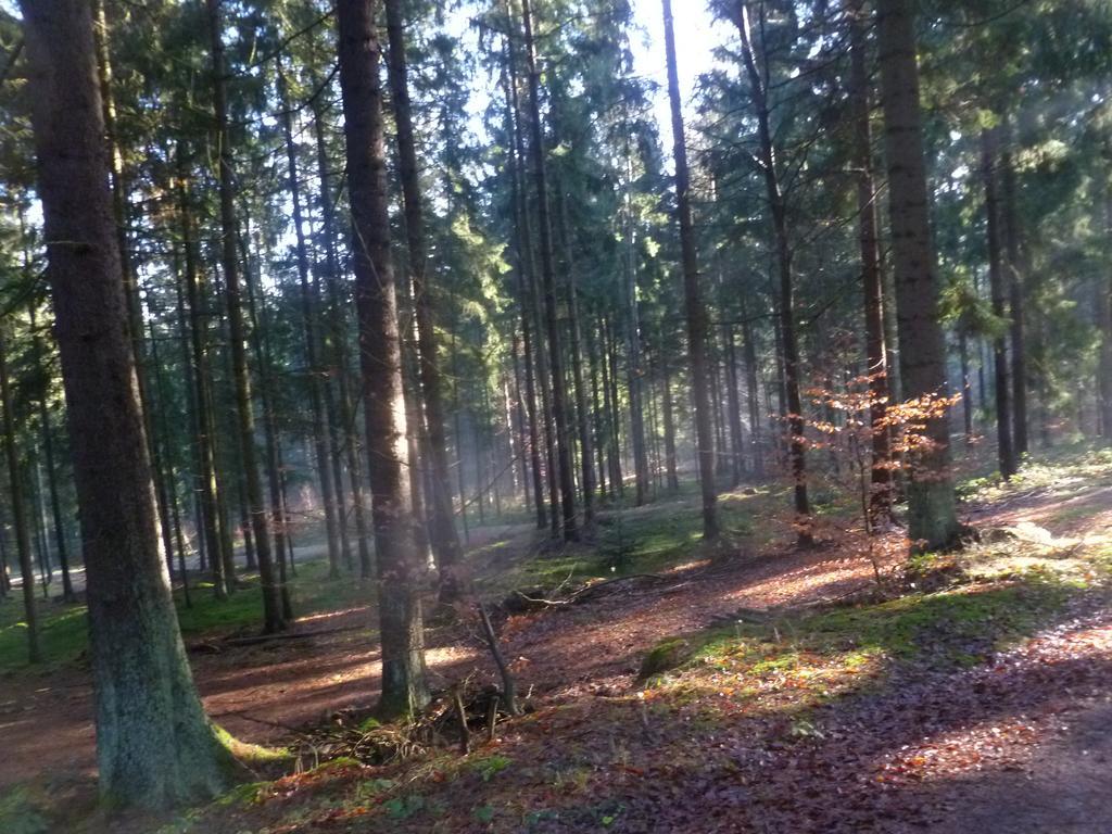 Blockhaus Bayerischer Wald Stamsried エクステリア 写真