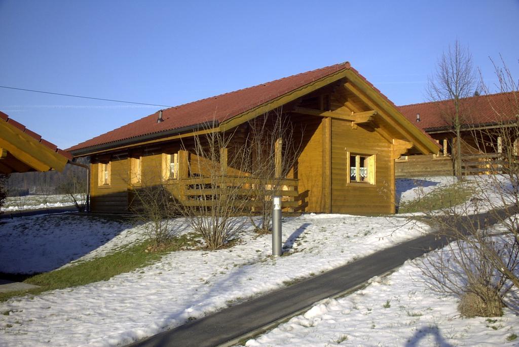 Blockhaus Bayerischer Wald Stamsried エクステリア 写真