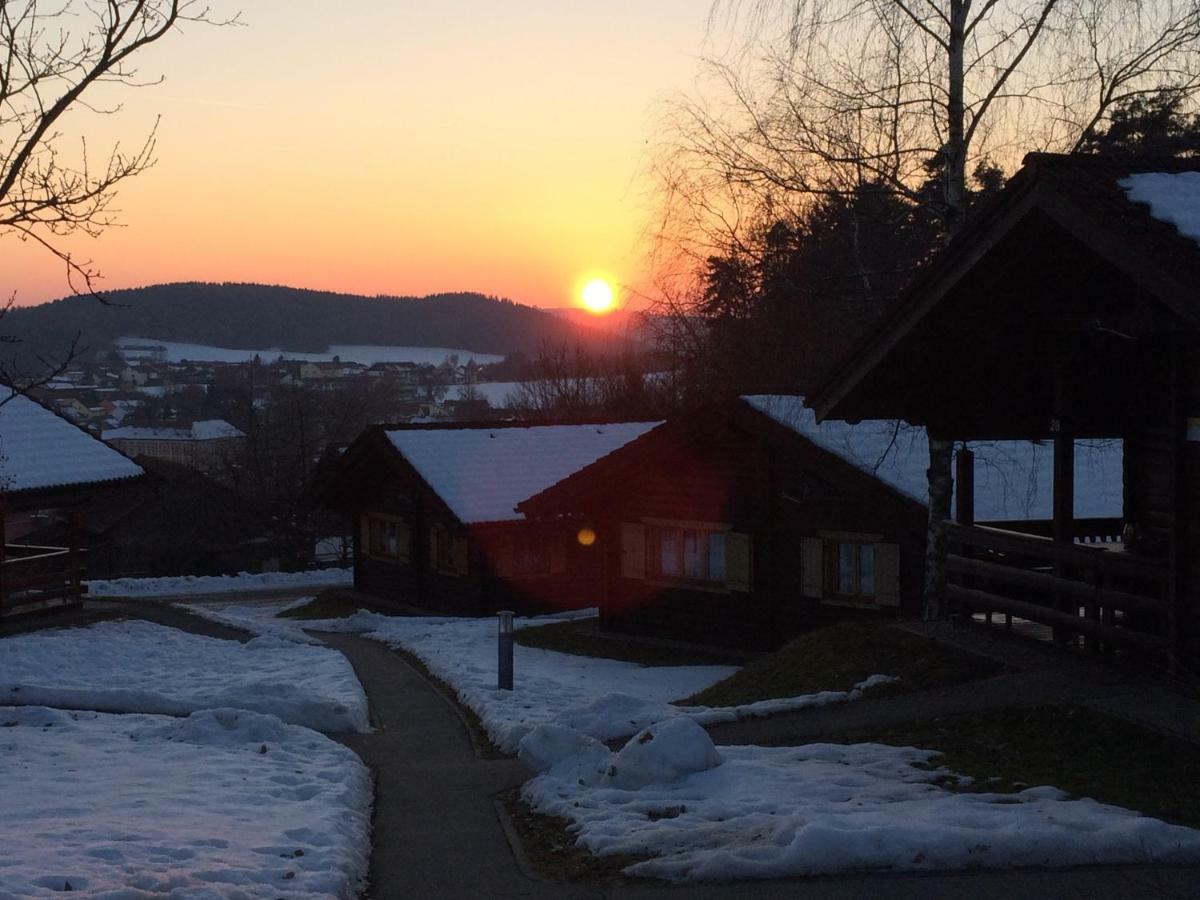 Blockhaus Bayerischer Wald Stamsried エクステリア 写真
